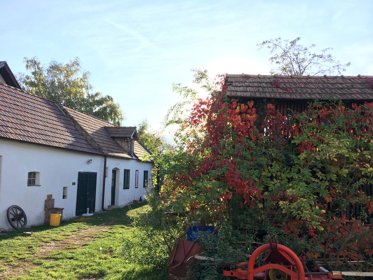 Apartament Am Ziegenhof Parndorf Zewnętrze zdjęcie
